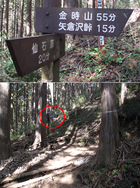 20181025hike (23)